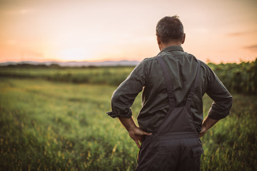 Mindful Eating Basics: Practicing Gratitude